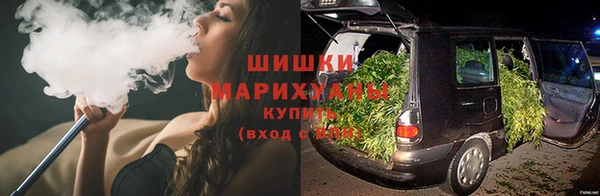 сатива Кукмор