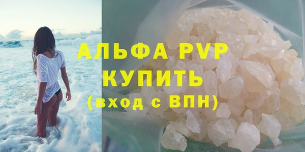 сатива Кукмор