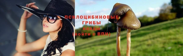 a pvp Лагань