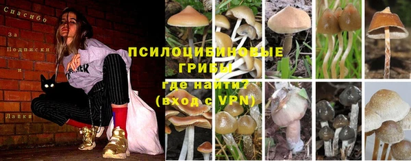 прущий лед Кулебаки
