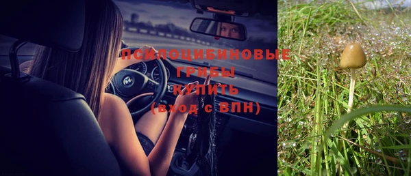 прущий лед Кулебаки