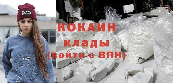 сатива Кукмор