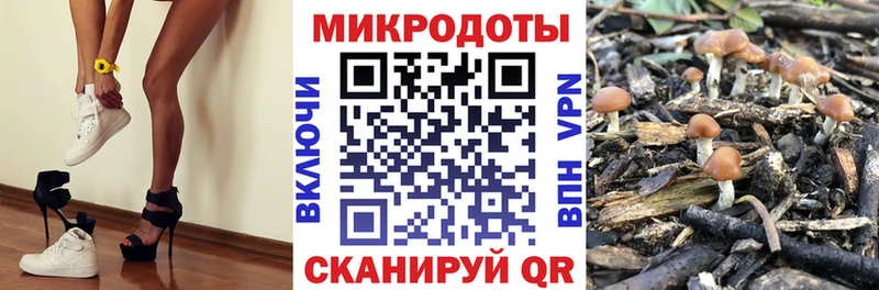 купить  сайты  Рыбинск  Псилоцибиновые грибы мицелий 