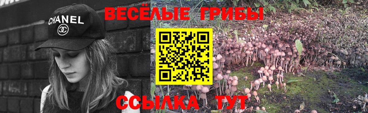 Псилоцибиновые грибы прущие грибы Рыбинск